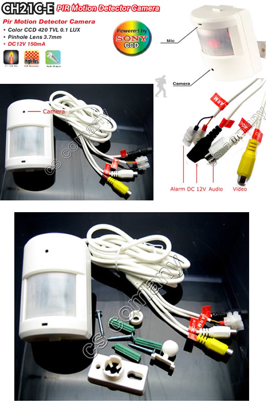 SONY CCD 420TV PIR Motion Detector Color Spy Camera