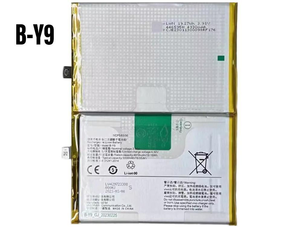 vivo battery B-Y9